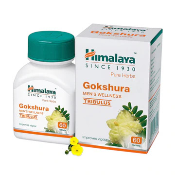 Gokshura – Natural Testosterone & Stamina Booster