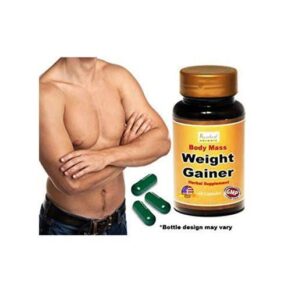 Ayur Ayurleaf Weight Gainer