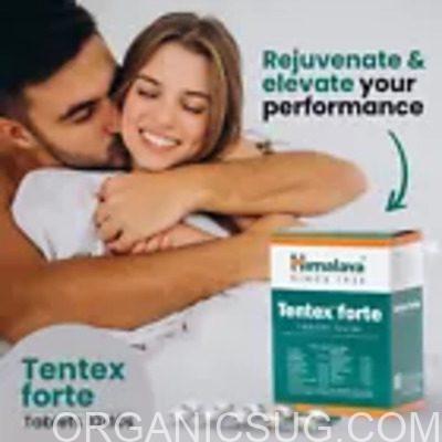 Tentex forte men power booster