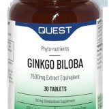 Ginko Biloba For Brain