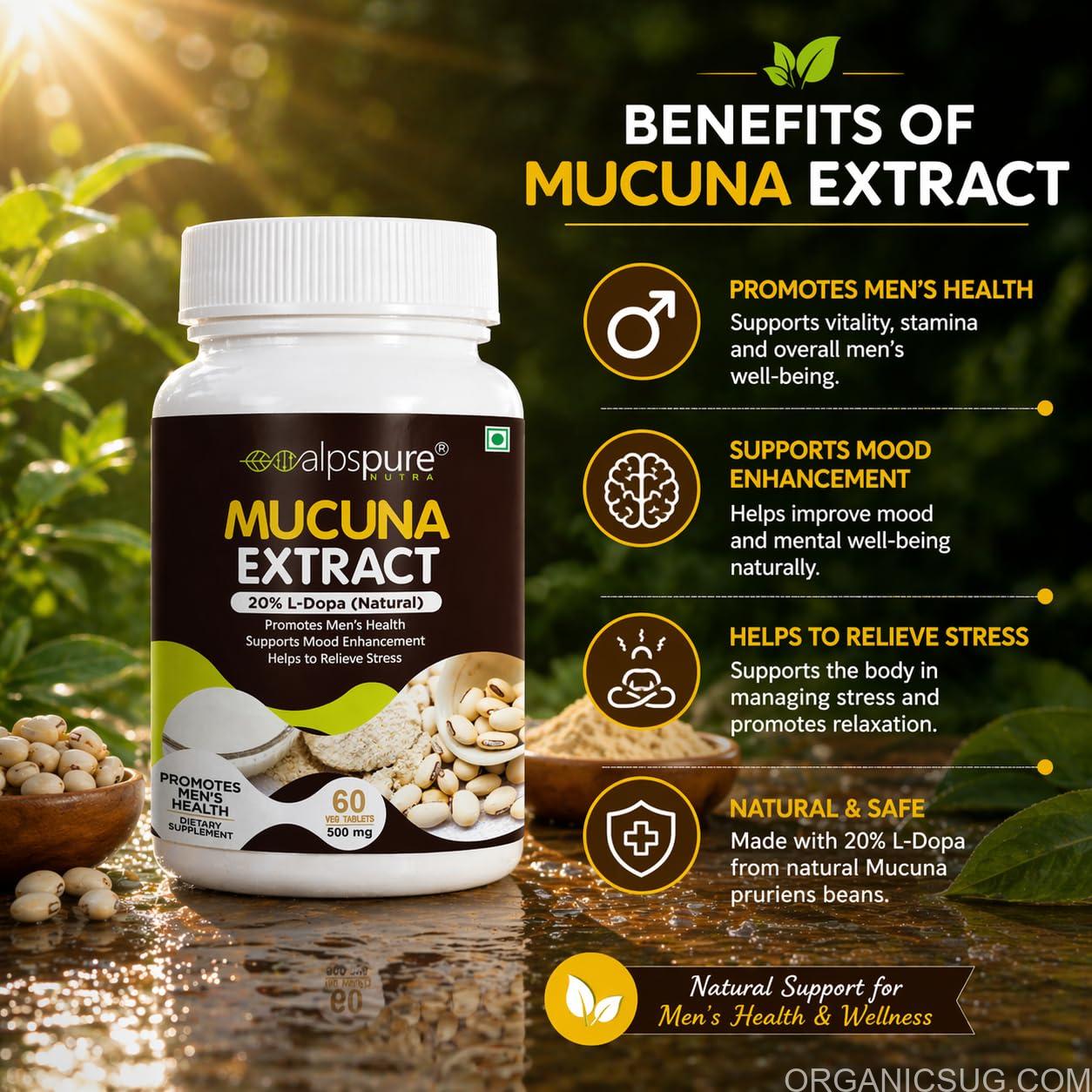 Mucuna pruens for men wellness